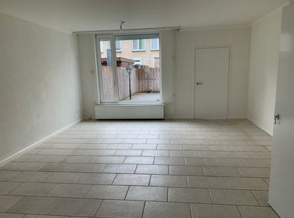 Goudplevier 110 foto