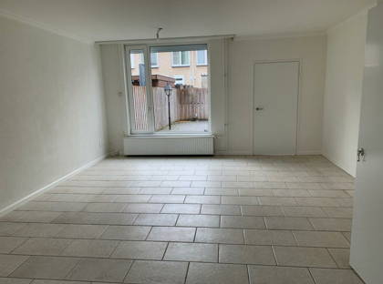 Goudplevier 110 foto
