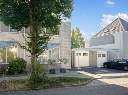 Hekkeslag 8 foto