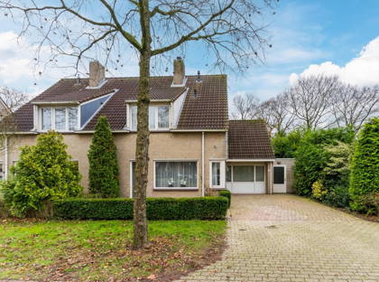 Krijten 43 foto