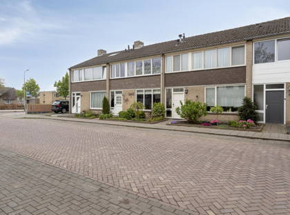 Bosveld 133 foto