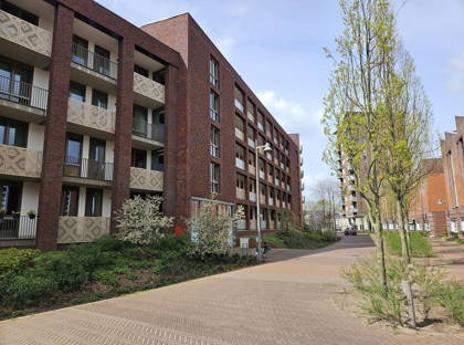 Koningsloper 507 foto