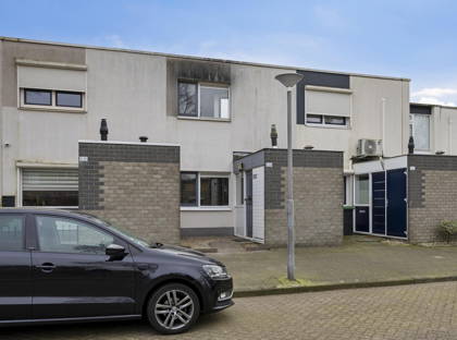 Bijland 502 foto