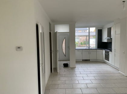 Goudplevier 110 foto