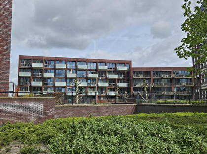 Koningsloper 415 foto