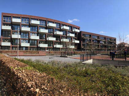 Koningsloper 441 foto