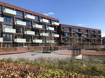 Koningsloper 521 foto