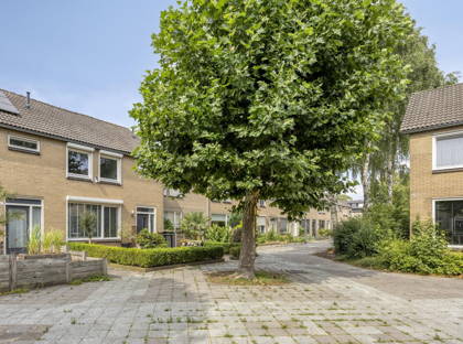 Bosveld 322 foto
