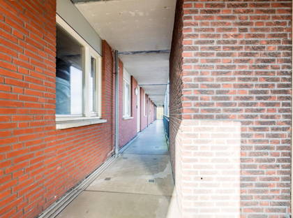 Vlasven 106 foto