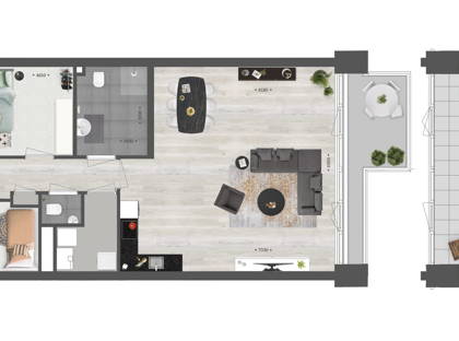 Koningsloper 501 foto