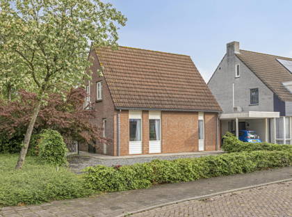 Weegbree 10 foto
