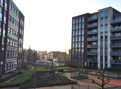 Koningsloper 511 foto