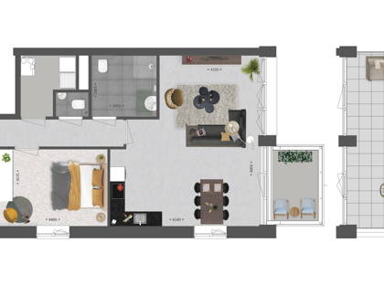 Koningsloper 449 foto