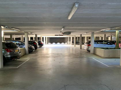 Koningsloper 427 foto