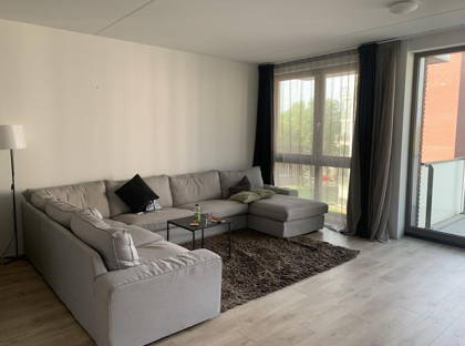 Koningsloper 431 foto